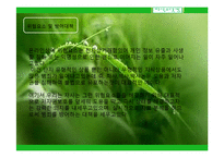 인터넷 지식 거래 사이트 창업성공사례, 성공적인 경영전략 및 마케팅전략과 성공배경, 운영현황, 조직구성, 시장현황 조사분석-18