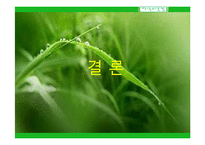 인터넷 지식 거래 사이트 창업성공사례, 성공적인 경영전략 및 마케팅전략과 성공배경, 운영현황, 조직구성, 시장현황 조사분석-19