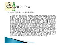 처음처럼 마케팅 성공사례, 성공요인, 성공전략, 경영전략, 마케팅 전략, 변화, 특징, 현황, 사례, 마케팅 관리, 역할, 기법, 시사점, 나아갈 방향, 총체적 조사분석-11