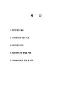 클린앤클리어(Clean&clear)의 STP 전략의 마케팅 성공사례, 성공요인, 성공전략, 경영전략, 마케팅 전략, 변화, 특징, 현황, 사례, 관리, 역할, 기법, 시사점, 나아갈 방향, 조사분석-2