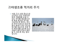 SK 그린 마케팅, 성공사례, 요인, 시장환경 분석, 경영전략, 마케팅 믹스, 특징, 현황, 사례, 역할, 전략, 시사점, 나아갈 방향, 조사분석-7