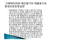 SK 그린 마케팅, 성공사례, 요인, 시장환경 분석, 경영전략, 마케팅 믹스, 특징, 현황, 사례, 역할, 전략, 시사점, 나아갈 방향, 조사분석-8