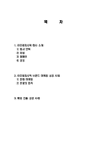 아모레 퍼시픽 마케팅 성공사례, 성공요인, 해외진출 성공, 경영, 마케팅, 변화, 특징, 현황, 사례, 마케팅 관리, 역할, 전략, 시사점, 나아갈 방향, 총체적 조사분석-2