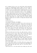 아모레 퍼시픽 마케팅 성공사례, 성공요인, 해외진출 성공, 경영, 마케팅, 변화, 특징, 현황, 사례, 마케팅 관리, 역할, 전략, 시사점, 나아갈 방향, 총체적 조사분석-6