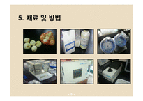 [식품공학, 건조] 양파의 수분증발과 전처리에 의한 갈변반응-6