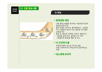 집밥, 전통식품, 발효식품-17