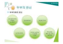 두부의 제조과정과 세계화-18