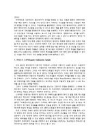 식민주의와 언어 -영어-12