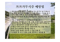 보건소에서의 전염병예방관리사업-12