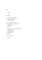 [기획론] 용인경전철 전략적 기획-2