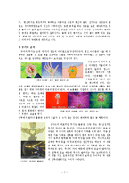 [미디어와 성] TV 영웅만화에 나타난 성 역할 고정관념-7