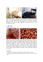 스페인 풍습과 문화-5
