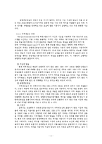 [방송학] 종합편성의 비대칭 규제-6