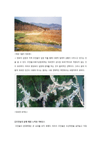 협동의 가능성과 민주 리더십, 실제 사회적 딜레마 상황의 사례분석 통합-6