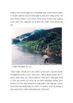 협동의 가능성과 민주 리더십, 실제 사회적 딜레마 상황의 사례분석 통합-7