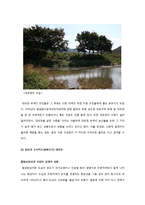 협동의 가능성과 민주 리더십, 실제 사회적 딜레마 상황의 사례분석 통합-9