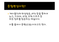[방송학] 종합편성의 비대칭 규제-3