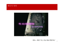 가정폭력 가정의 현황 및 특성 개입방법 -배우자 폭력-3