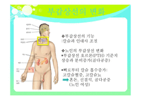 노인의 내분비계 변화-10