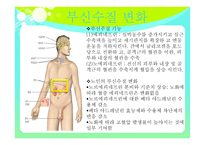 노인의 내분비계 변화-12