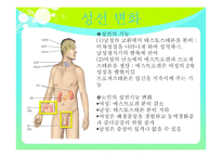 노인의 내분비계 변화-14