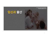 임신과 출산 레포트-1