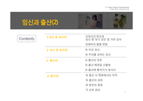 임신과 출산 레포트-2