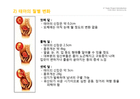 임신과 출산 레포트-5