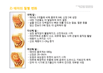 임신과 출산 레포트-6