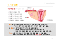 임신과 출산 레포트-19