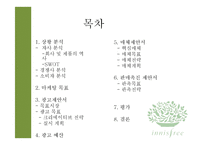 [광고론] `이니스프리`의 성공적 중국 진출을 위한 커뮤니케이션 제안서-3