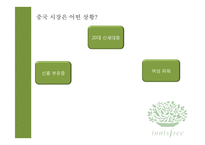 [광고론] `이니스프리`의 성공적 중국 진출을 위한 커뮤니케이션 제안서-12