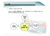 네덜란드 국제물류-14