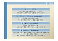 디지털 민주주의 -개선된 공론장-11