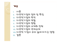 다국적기업 레포트-2