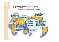 다국적기업 레포트-13