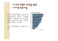 다국적기업 레포트-19