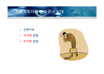 지방자치단체의 재정실태 및 대책-3