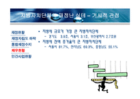 지방자치단체의 재정실태 및 대책-11