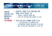 지방자치단체의 재정실태 및 대책-13