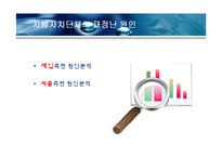 지방자치단체의 재정실태 및 대책-17