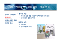 지방자치단체의 재정실태 및 대책-19