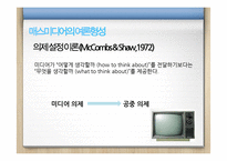 [신문방송] 뉴미디어와 여론형성-4