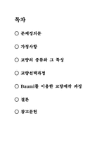 [창의적공학설계] Baumi를 이용한 교량제작-2