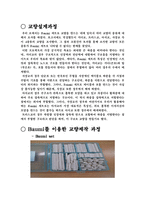 [창의적공학설계] Baumi를 이용한 교량제작-6