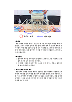 [창의적공학설계] Baumi를 이용한 교량제작-12