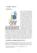 항생제(베타락탐계), 그리고 페니실린에 대하여-7