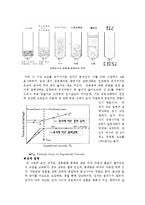 [반응현상실험] 고정층과 유동층의 흐름현상-2