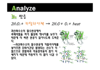 세제연료로 가는 자동차-9