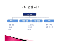 세라믹 재료공정 -SiC-13